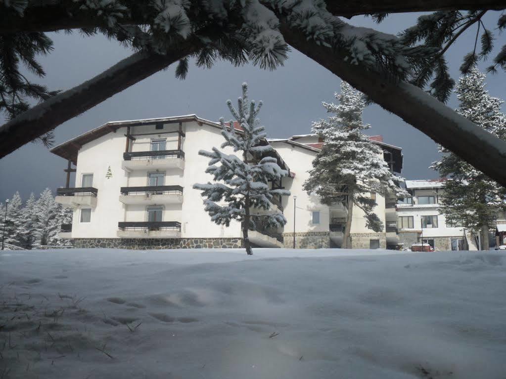 Bor Hotel Belitsa  Dış mekan fotoğraf