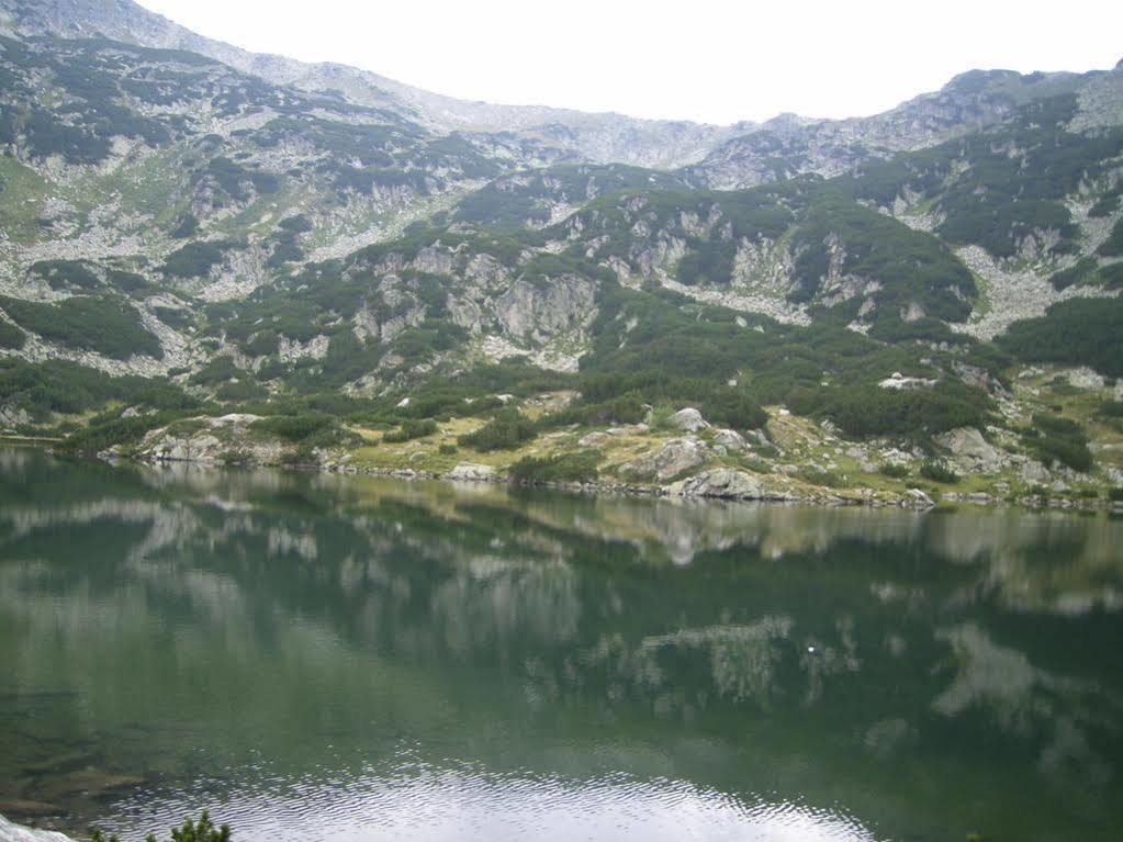 Bor Hotel Belitsa  Dış mekan fotoğraf