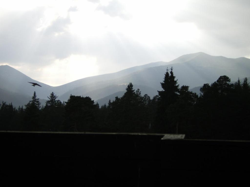 Bor Hotel Belitsa  Oda fotoğraf